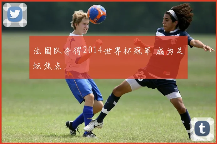法国队夺得2014世界杯冠军 成为足坛焦点