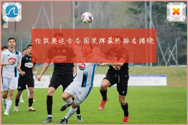 伦敦奥运会各国奖牌最终排名揭晓
